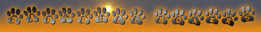 Paw Print Logo