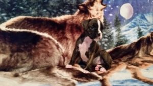 Dog Named Raven