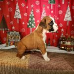 Puppy Named Minnie Pearl