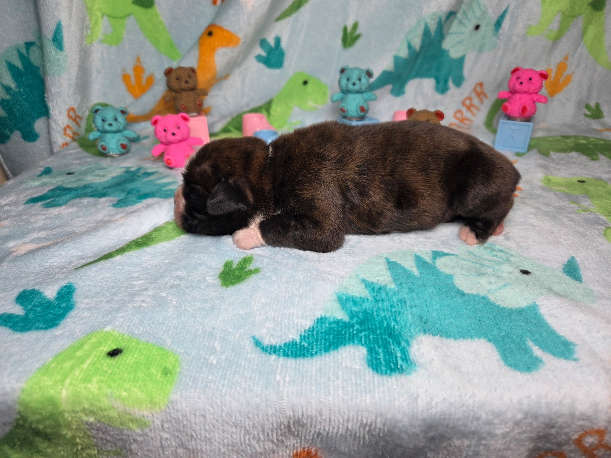 Hobbs 1 Week