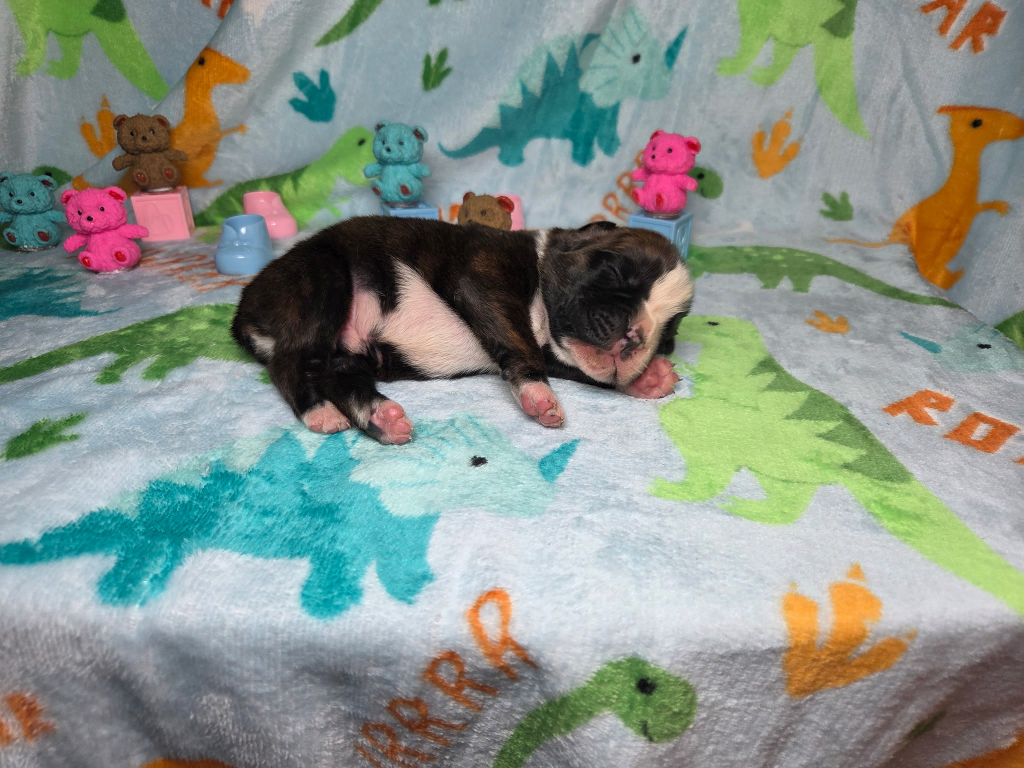 Hobbs 1 Week