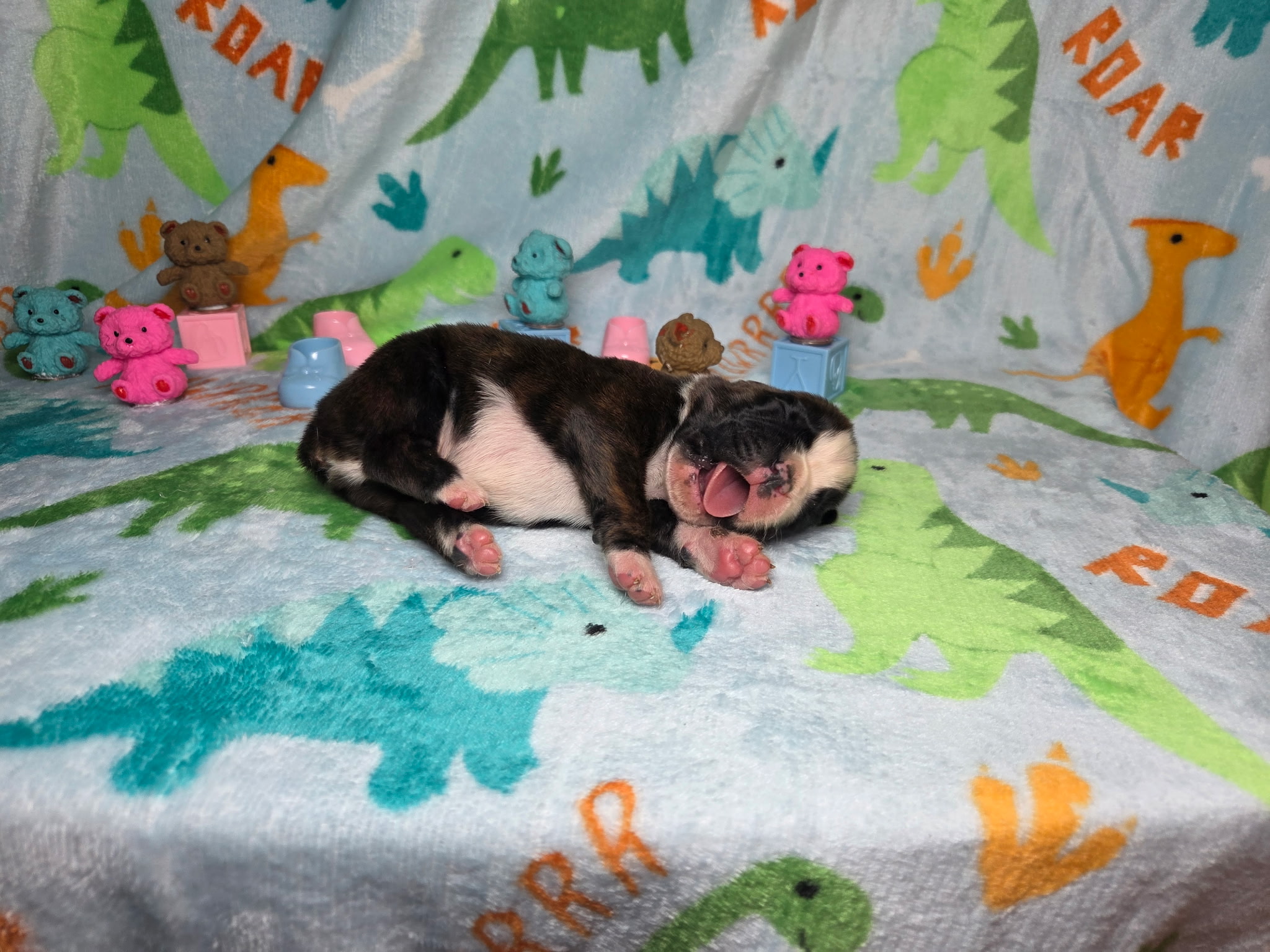 Hobbs 1 Week