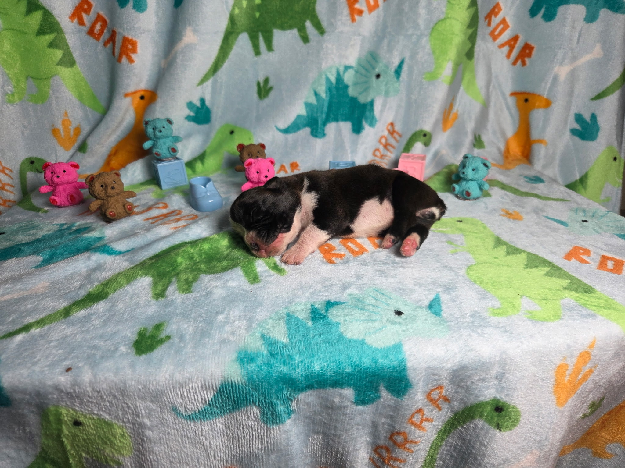 Mia 1 Week