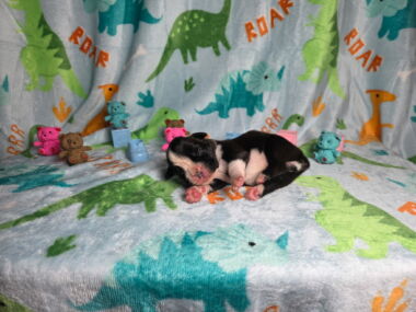 Mia 1 Week