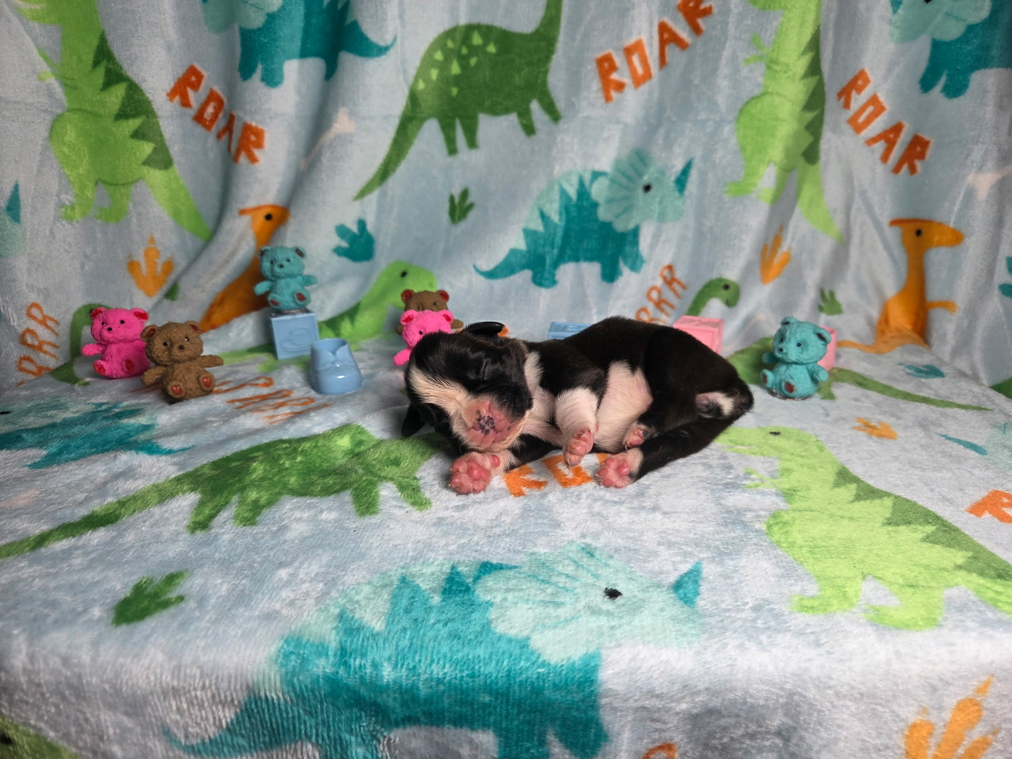 Mia 1 Week