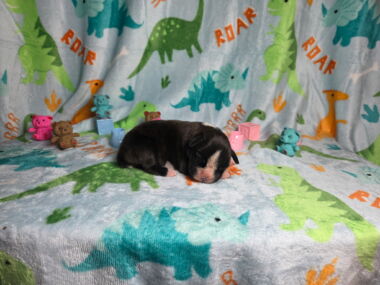 Mia 1 Week