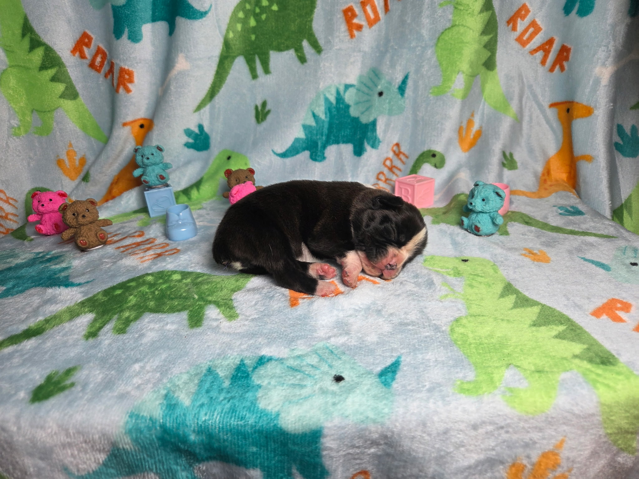 Mia 1 Week