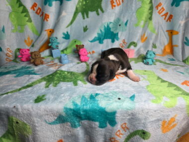 Mia 1 Week
