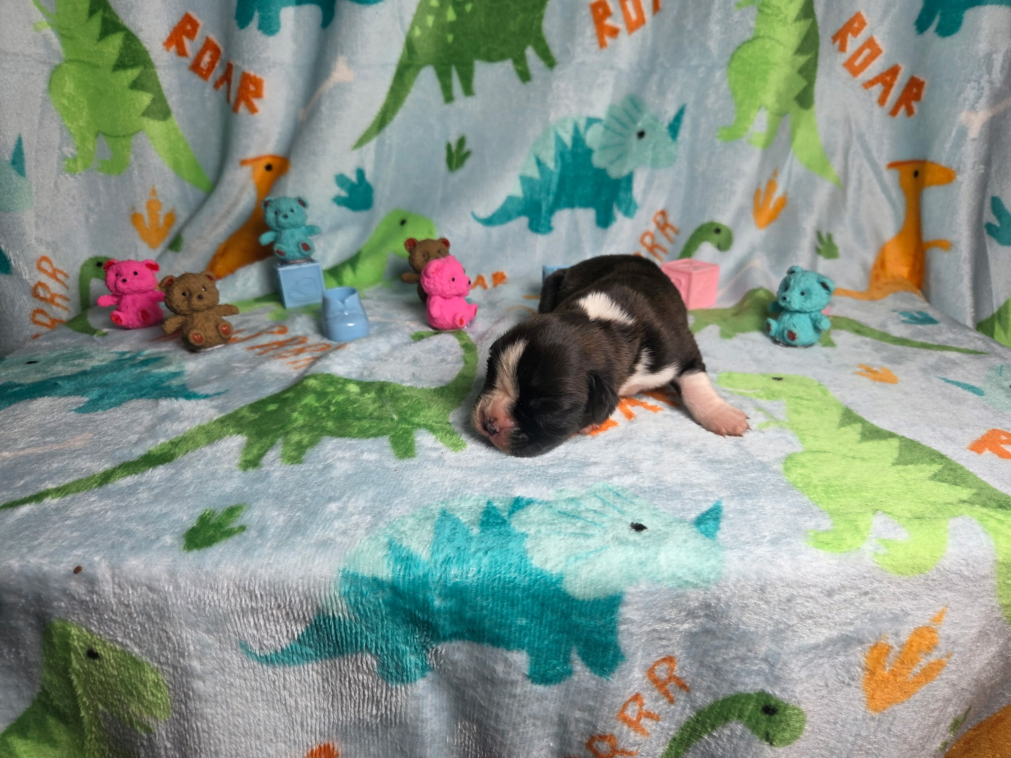 Mia 1 Week