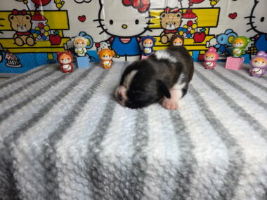 Mia 2 Weeks