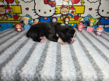 Mia 2 Weeks