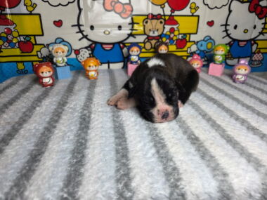 Mia 2 Weeks
