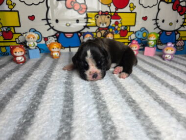 Mia 2 Weeks