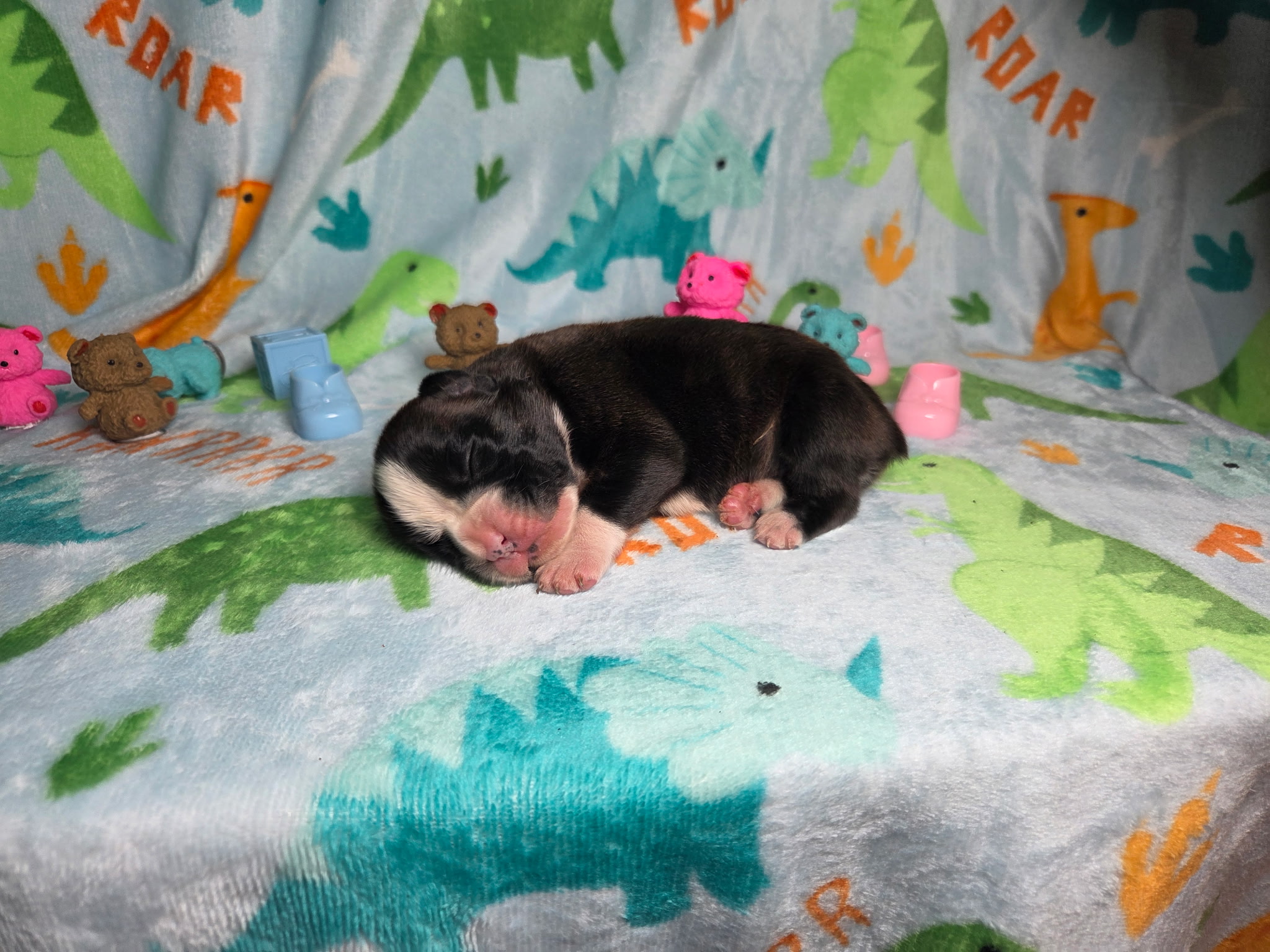 Ramsey 1 Week