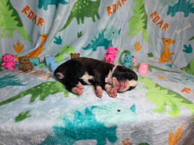 Ramsey 1 Week