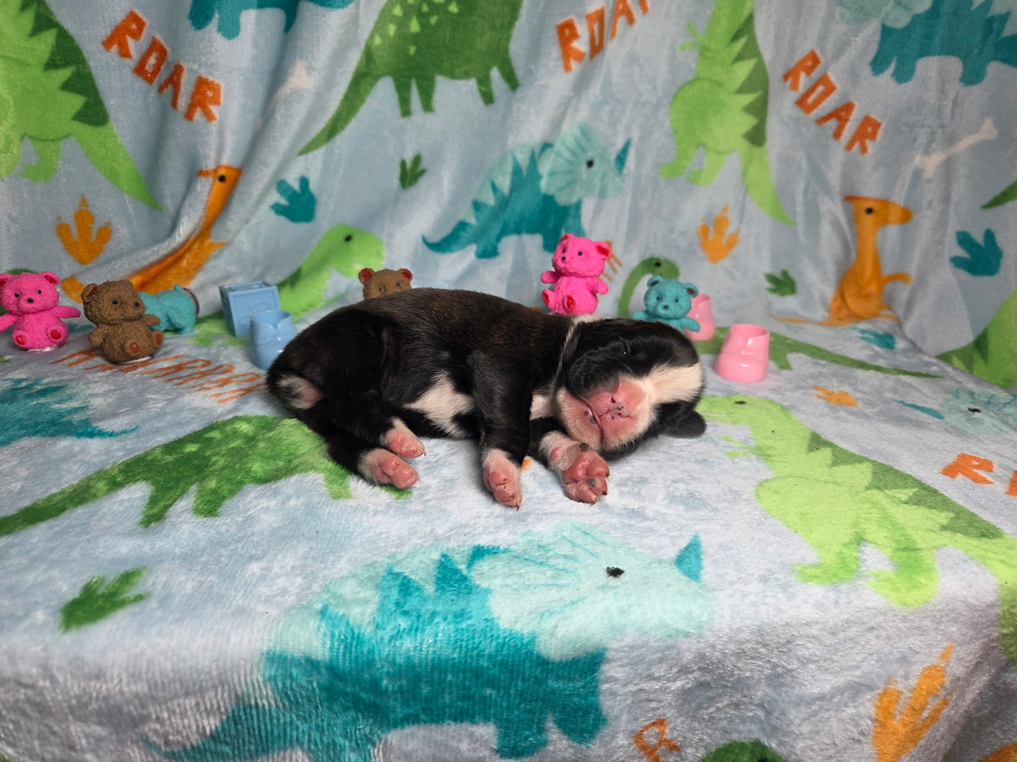 Ramsey 1 Week