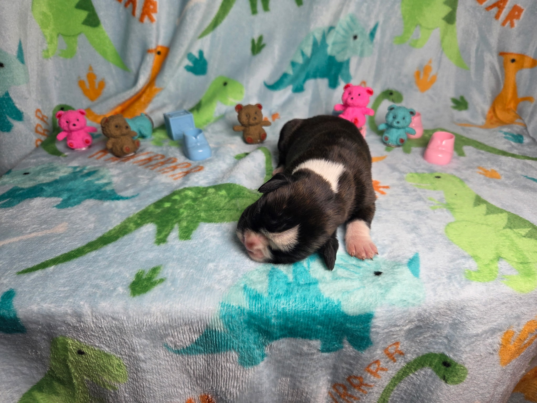 Ramsey 1 Week